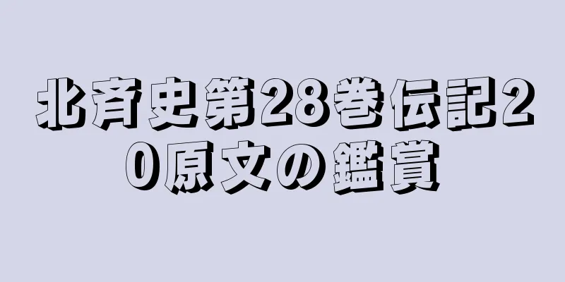 北斉史第28巻伝記20原文の鑑賞