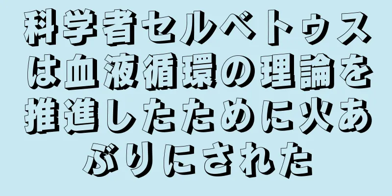 科学者セルベトゥスは血液循環の理論を推進したために火あぶりにされた