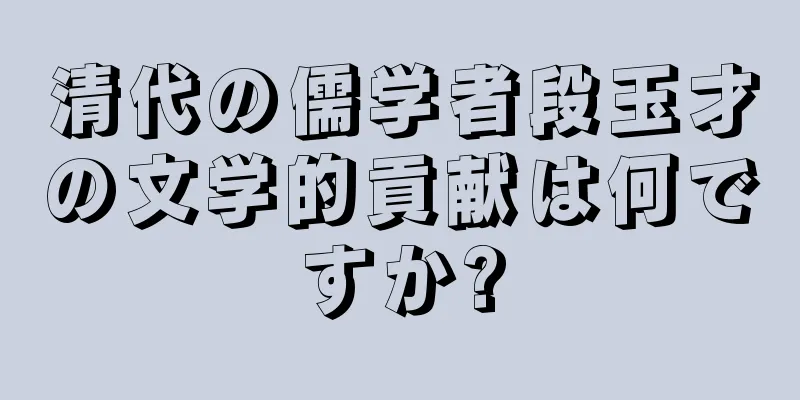 清代の儒学者段玉才の文学的貢献は何ですか?