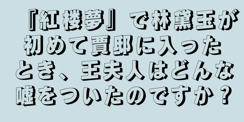 『紅楼夢』で林黛玉が初めて賈邸に入ったとき、王夫人はどんな嘘をついたのですか？