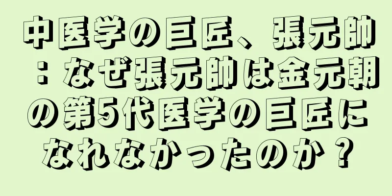 中医学の巨匠、張元帥：なぜ張元帥は金元朝の第5代医学の巨匠になれなかったのか？