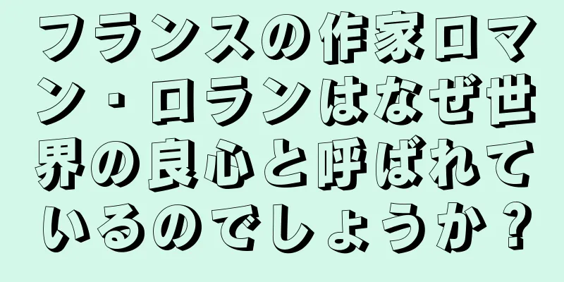 フランスの作家ロマン・ロランはなぜ世界の良心と呼ばれているのでしょうか？