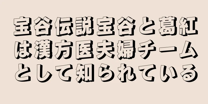 宝谷伝説宝谷と葛紅は漢方医夫婦チームとして知られている