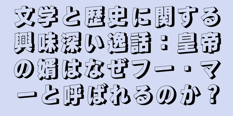 文学と歴史に関する興味深い逸話：皇帝の婿はなぜフー・マーと呼ばれるのか？