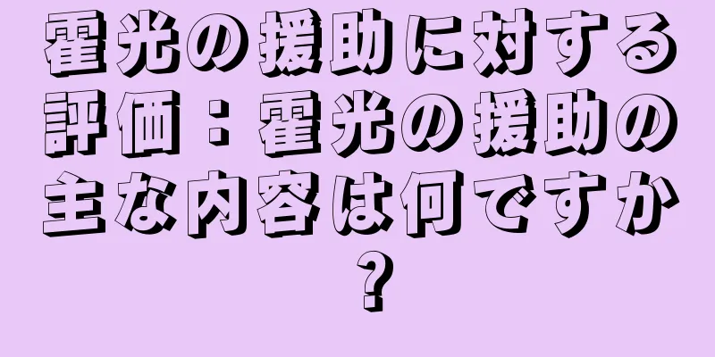霍光の援助に対する評価：霍光の援助の主な内容は何ですか？