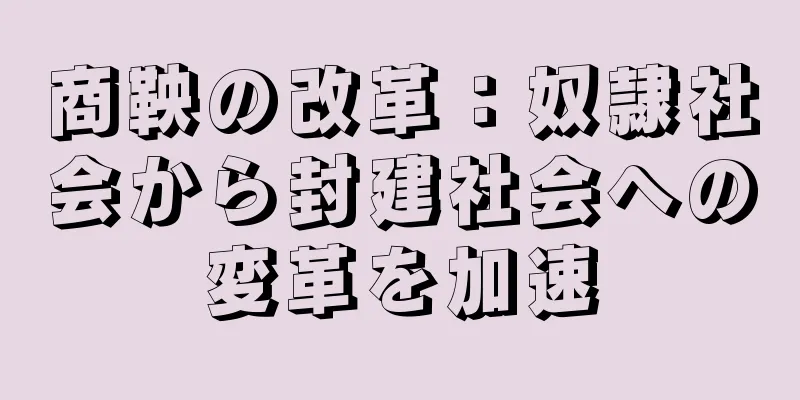 商鞅の改革：奴隷社会から封建社会への変革を加速