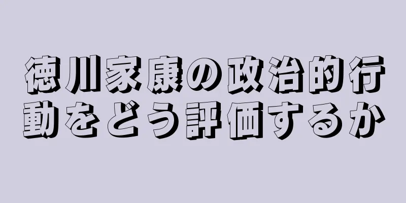 徳川家康の政治的行動をどう評価するか
