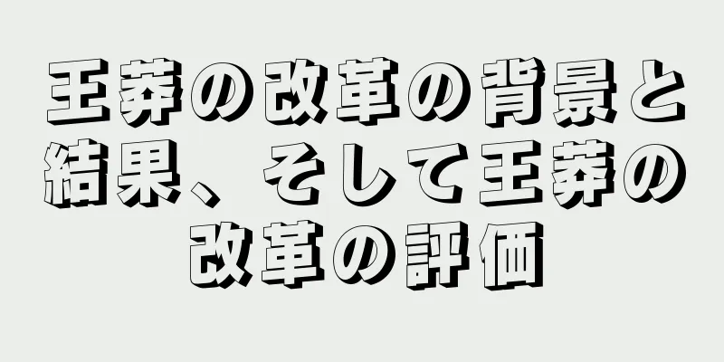 王莽の改革の背景と結果、そして王莽の改革の評価