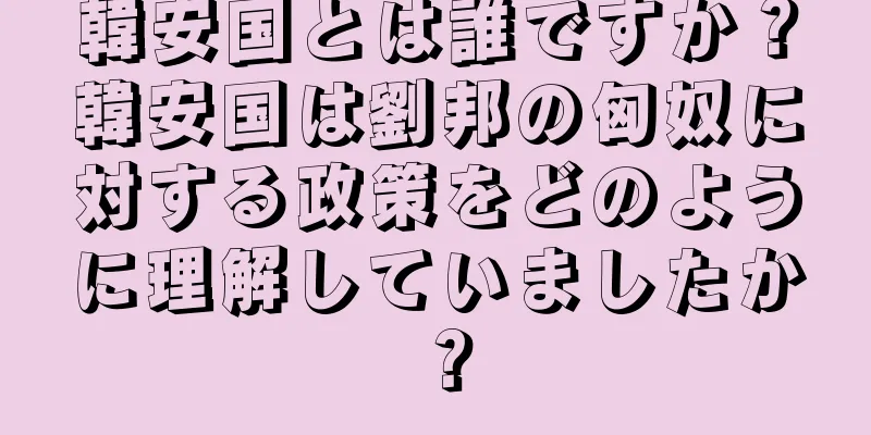 韓安国とは誰ですか？韓安国は劉邦の匈奴に対する政策をどのように理解していましたか？