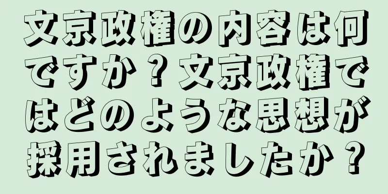 文京政権の内容は何ですか？文京政権ではどのような思想が採用されましたか？