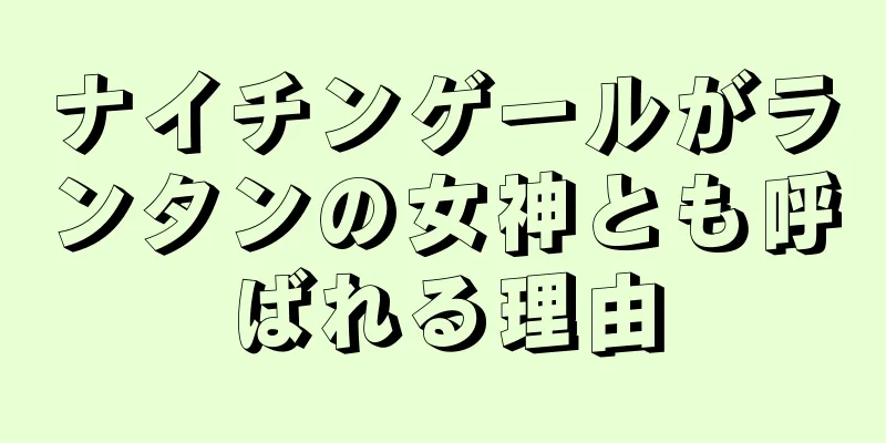 ナイチンゲールがランタンの女神とも呼ばれる理由