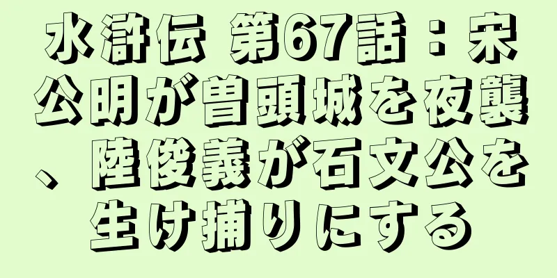 水滸伝 第67話：宋公明が曽頭城を夜襲、陸俊義が石文公を生け捕りにする