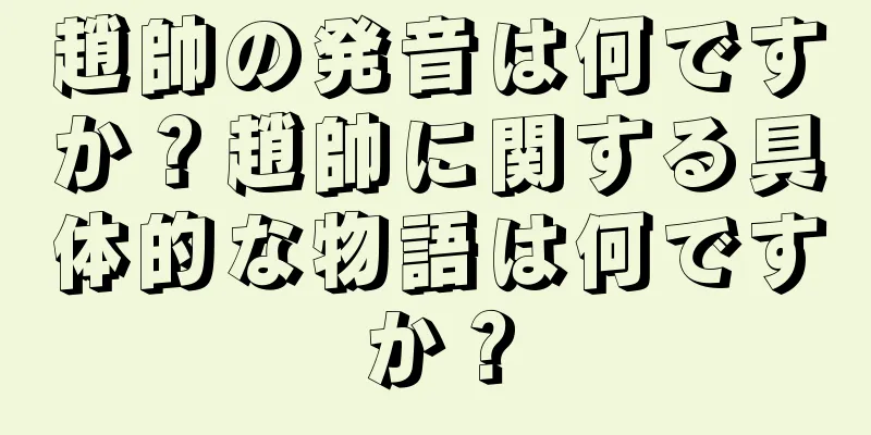 趙帥の発音は何ですか？趙帥に関する具体的な物語は何ですか？