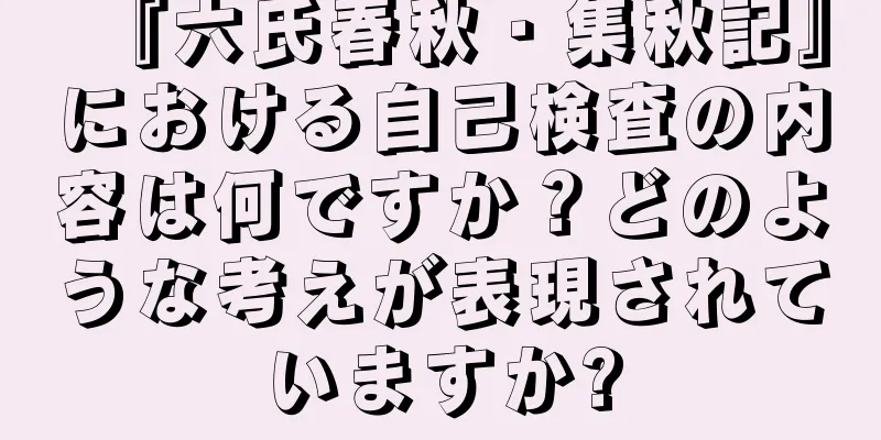 『六氏春秋・集秋記』における自己検査の内容は何ですか？どのような考えが表現されていますか?