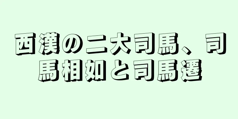 西漢の二大司馬、司馬相如と司馬遷