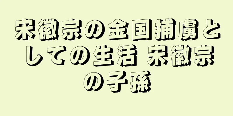 宋徽宗の金国捕虜としての生活 宋徽宗の子孫
