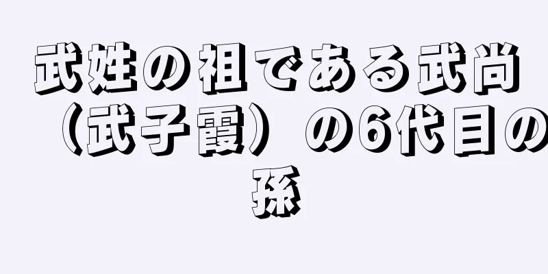 武姓の祖である武尚（武子霞）の6代目の孫