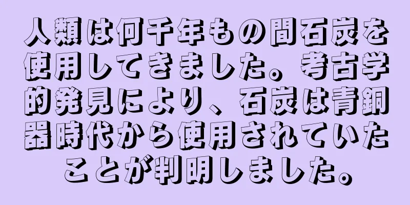 人類は何千年もの間石炭を使用してきました。考古学的発見により、石炭は青銅器時代から使用されていたことが判明しました。