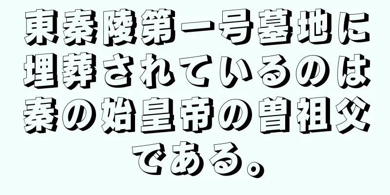 東秦陵第一号墓地に埋葬されているのは秦の始皇帝の曽祖父である。
