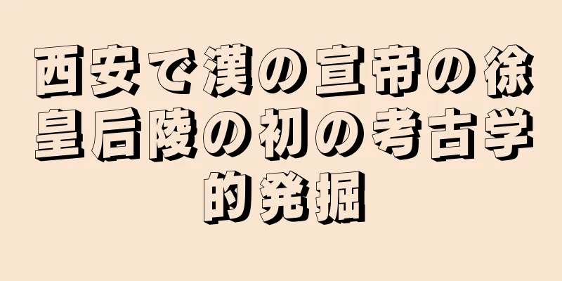 西安で漢の宣帝の徐皇后陵の初の考古学的発掘