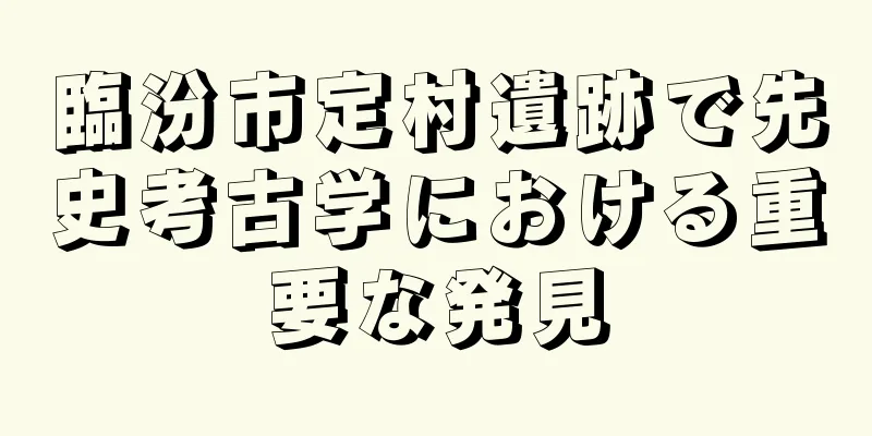 臨汾市定村遺跡で先史考古学における重要な発見