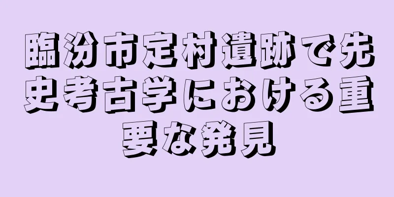 臨汾市定村遺跡で先史考古学における重要な発見
