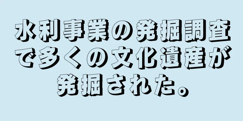 水利事業の発掘調査で多くの文化遺産が発掘された。