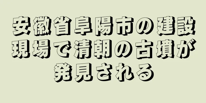 安徽省阜陽市の建設現場で清朝の古墳が発見される