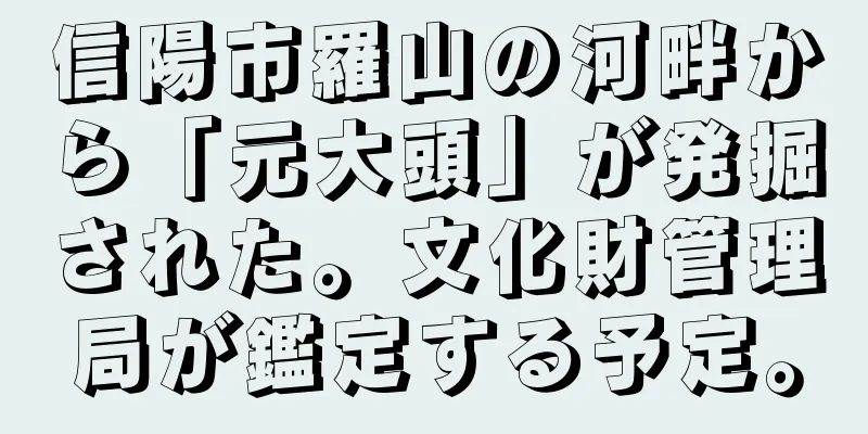 信陽市羅山の河畔から「元大頭」が発掘された。文化財管理局が鑑定する予定。