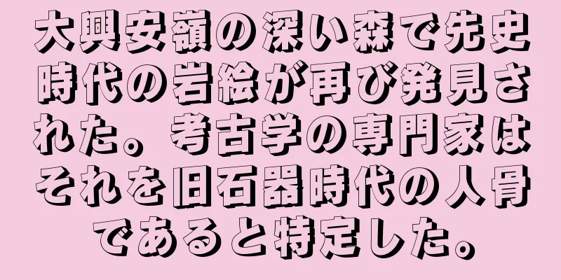 大興安嶺の深い森で先史時代の岩絵が再び発見された。考古学の専門家はそれを旧石器時代の人骨であると特定した。