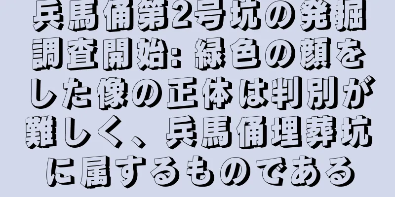 兵馬俑第2号坑の発掘調査開始: 緑色の顔をした像の正体は判別が難しく、兵馬俑埋葬坑に属するものである