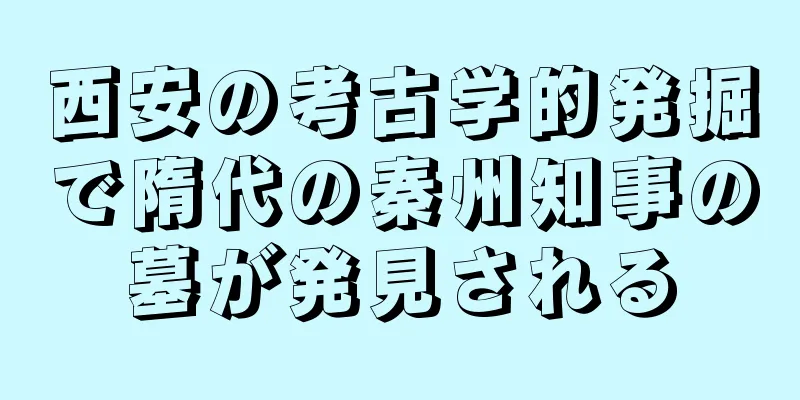 西安の考古学的発掘で隋代の秦州知事の墓が発見される