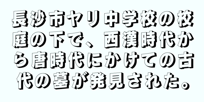 長沙市ヤリ中学校の校庭の下で、西漢時代から唐時代にかけての古代の墓が発見された。