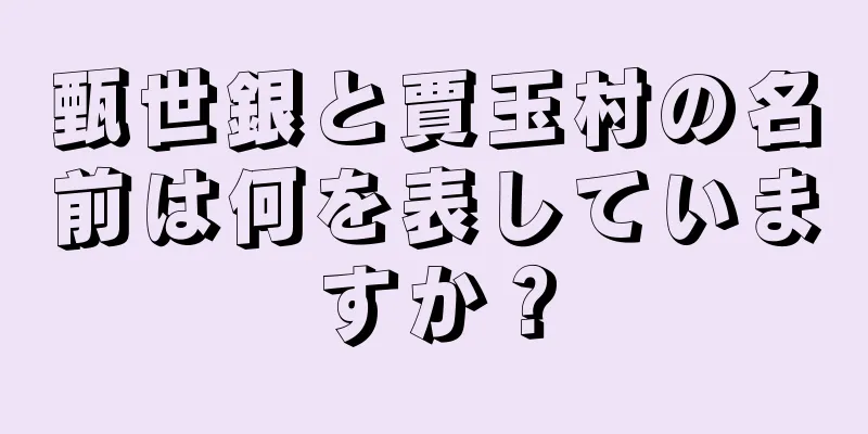 甄世銀と賈玉村の名前は何を表していますか？