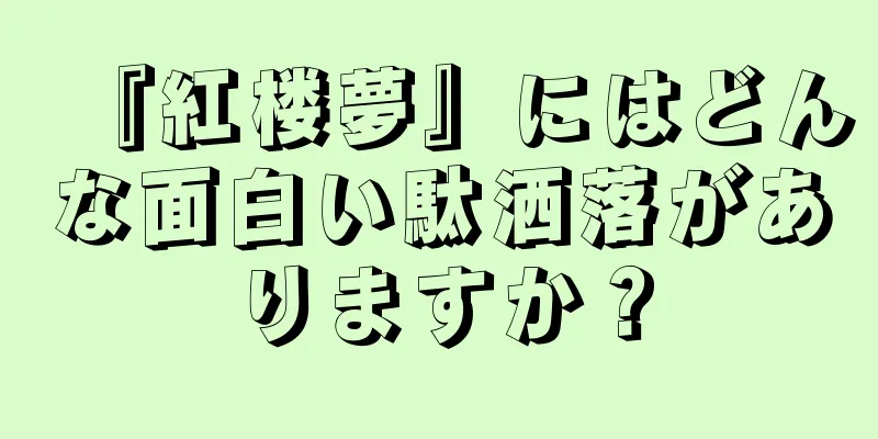 『紅楼夢』にはどんな面白い駄洒落がありますか？
