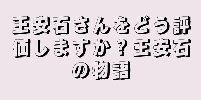 王安石さんをどう評価しますか？王安石の物語
