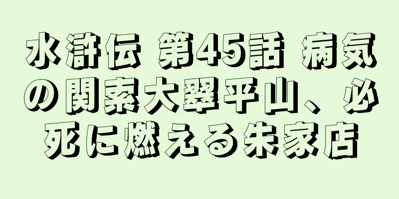 水滸伝 第45話 病気の関索大翠平山、必死に燃える朱家店