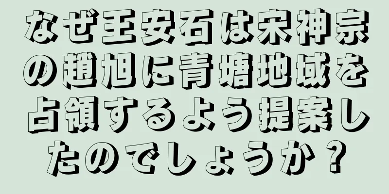 なぜ王安石は宋神宗の趙旭に青塘地域を占領するよう提案したのでしょうか？