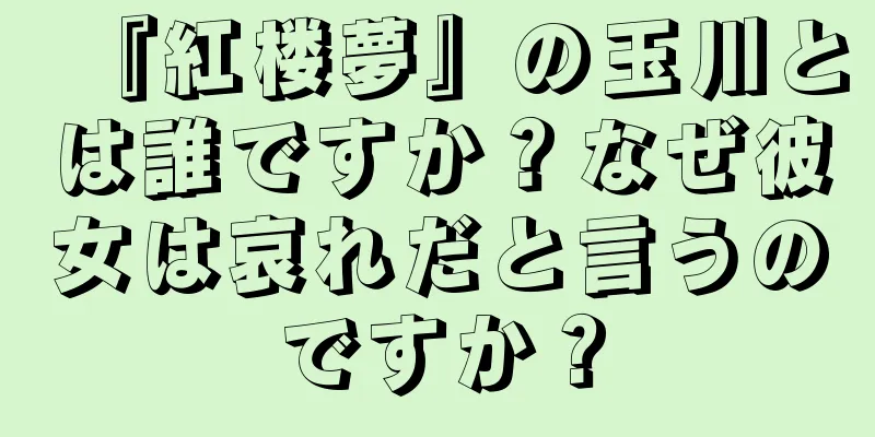 『紅楼夢』の玉川とは誰ですか？なぜ彼女は哀れだと言うのですか？