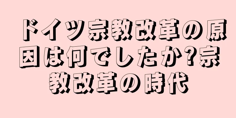 ドイツ宗教改革の原因は何でしたか?宗教改革の時代