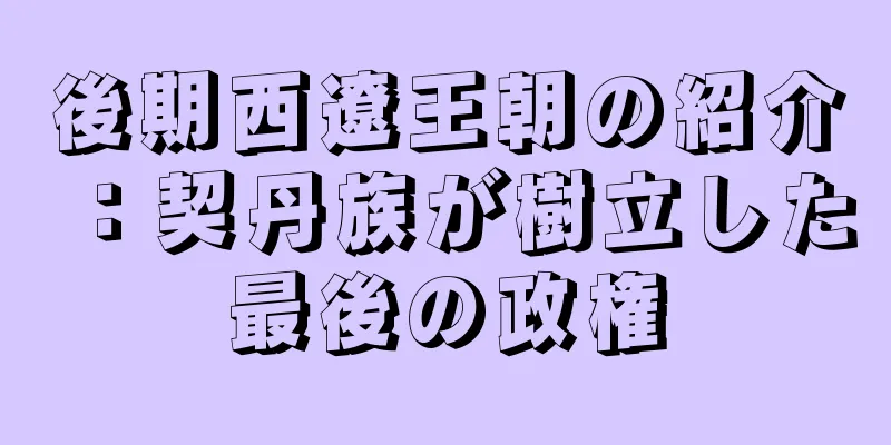 後期西遼王朝の紹介：契丹族が樹立した最後の政権