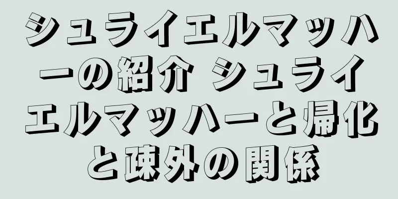シュライエルマッハーの紹介 シュライエルマッハーと帰化と疎外の関係