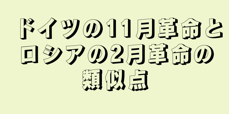 ドイツの11月革命とロシアの2月革命の類似点