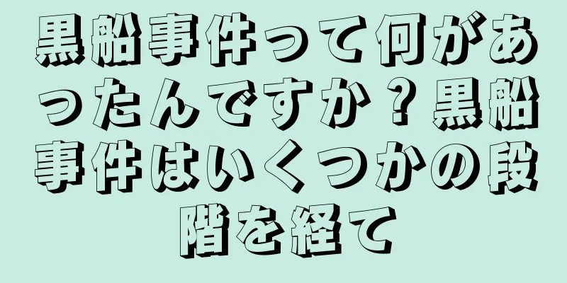 黒船事件って何があったんですか？黒船事件はいくつかの段階を経て