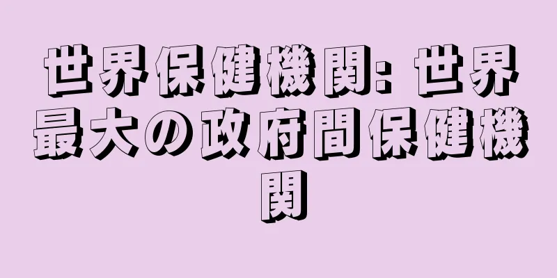 世界保健機関: 世界最大の政府間保健機関