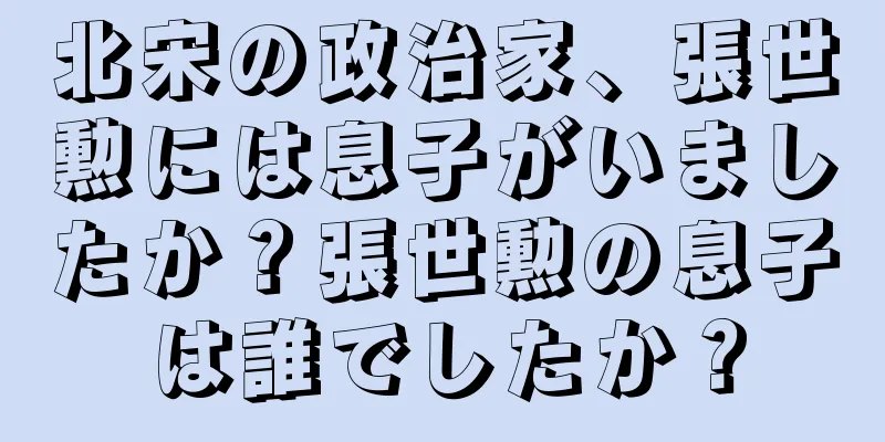 北宋の政治家、張世勲には息子がいましたか？張世勲の息子は誰でしたか？