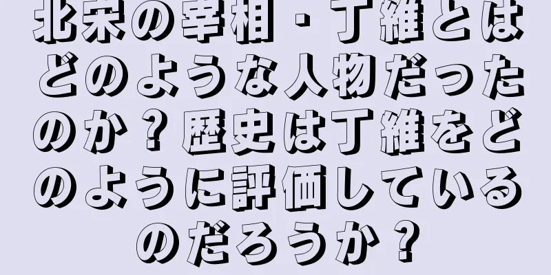 北宋の宰相・丁維とはどのような人物だったのか？歴史は丁維をどのように評価しているのだろうか？