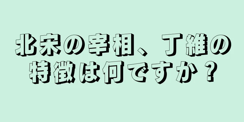 北宋の宰相、丁維の特徴は何ですか？