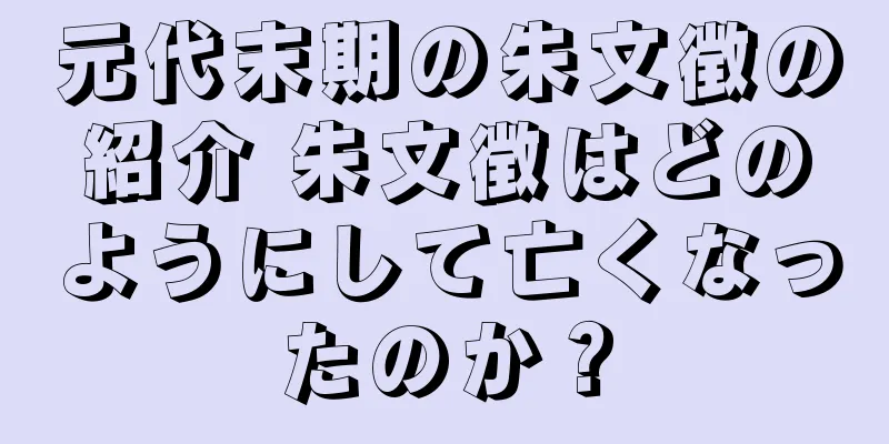 元代末期の朱文徴の紹介 朱文徴はどのようにして亡くなったのか？