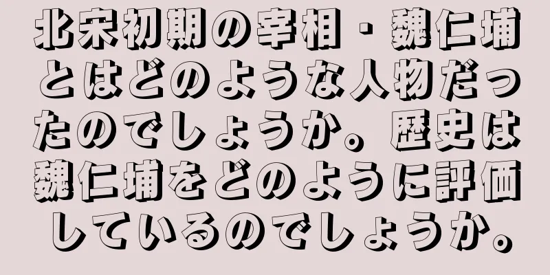 北宋初期の宰相・魏仁埔とはどのような人物だったのでしょうか。歴史は魏仁埔をどのように評価しているのでしょうか。